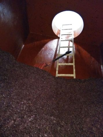 Bhilar post fermentation in concrete tank. Ready for the press